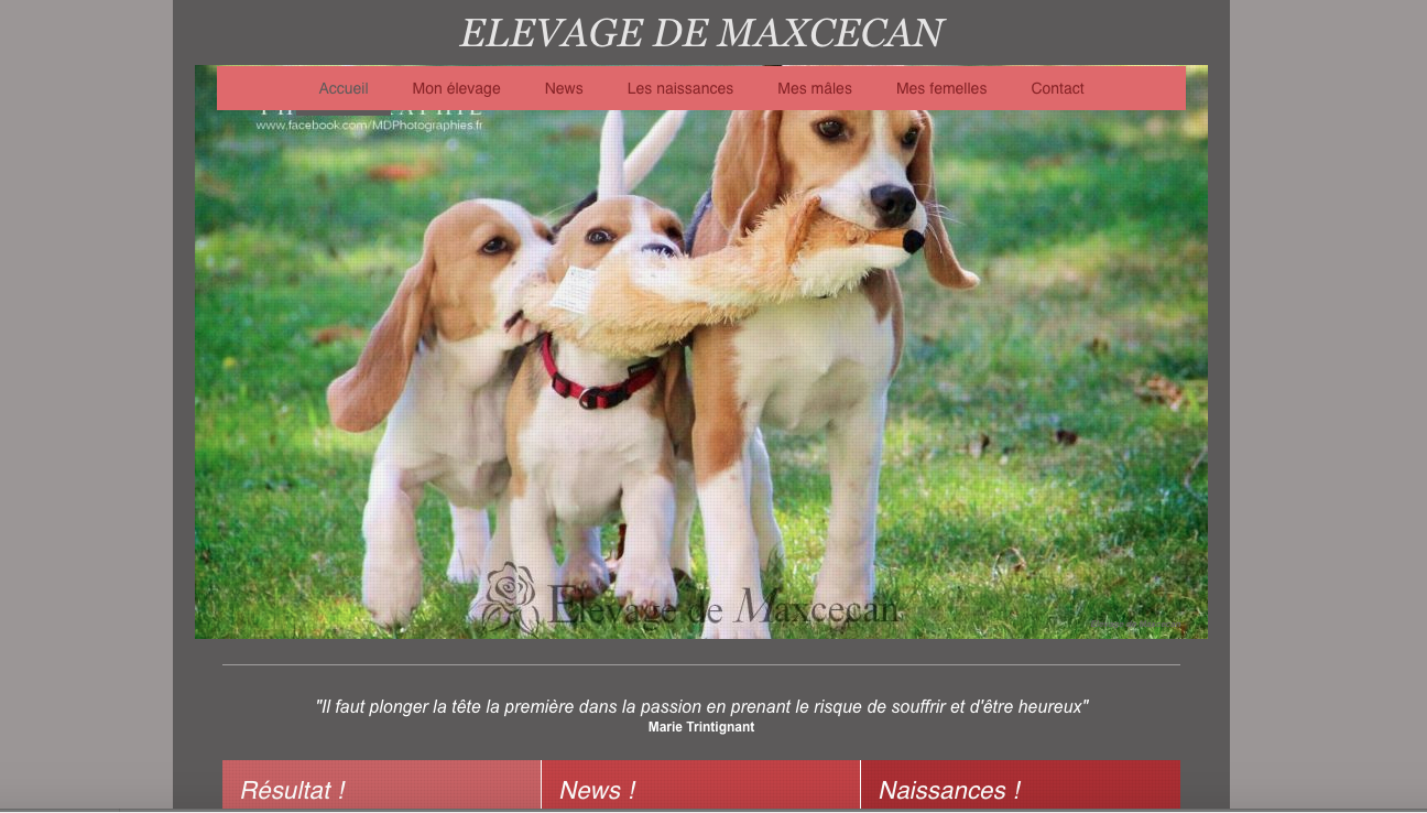 Elevagedemaxcecan.com