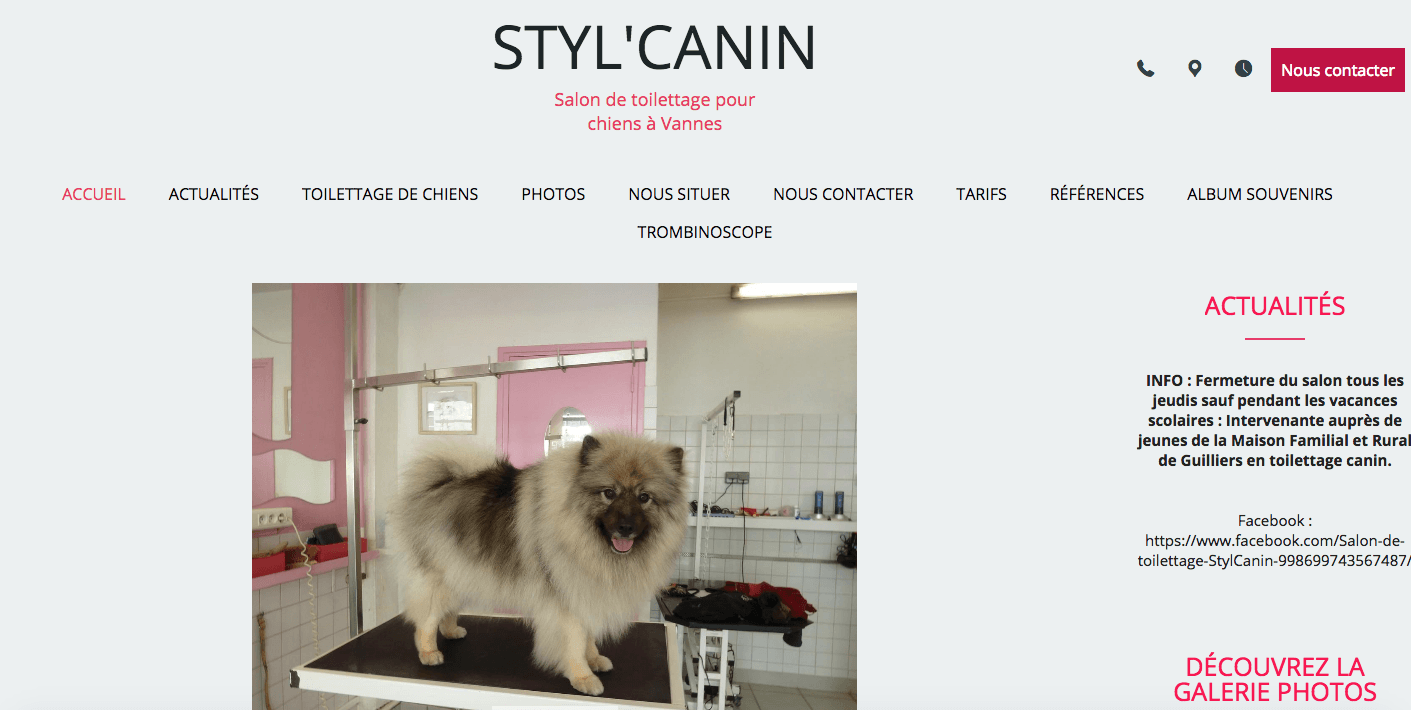 Stylcanin-Toilettage-Vannes.fr