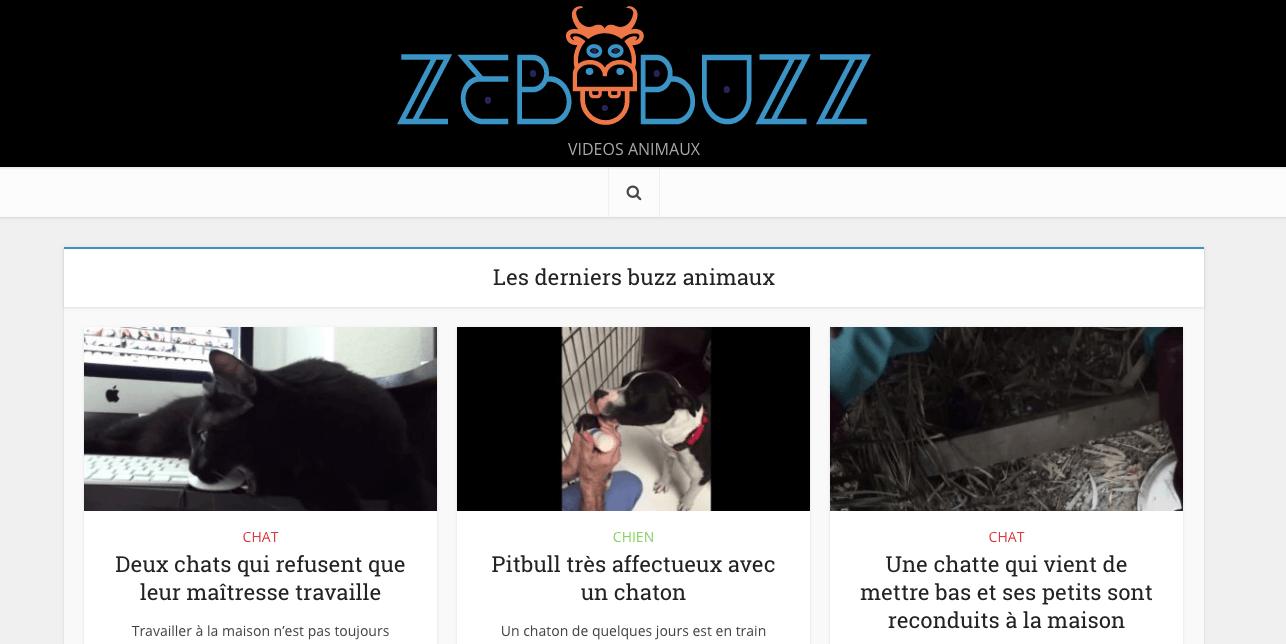 Vidéos d'animaux Zebubuzz.com