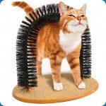 accessoires pour chat