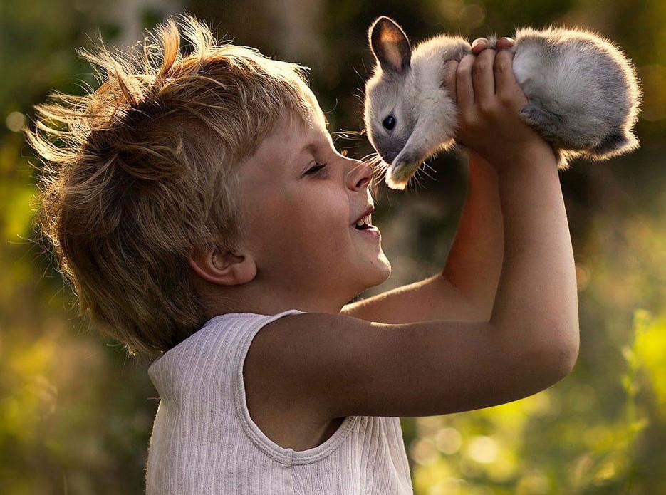 assurance pour lapins