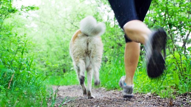 faire du sport avec son chien