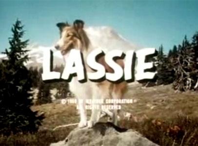 lassie série tv